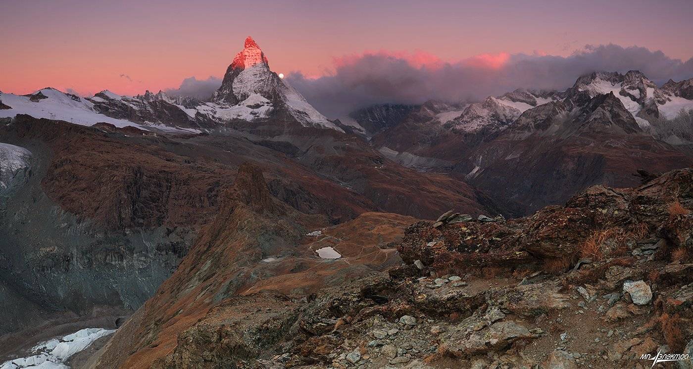 swiss, Матвеев Николай