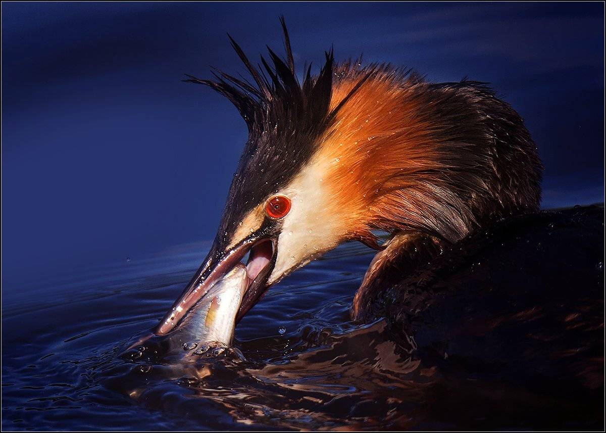 , Валерий Субачев