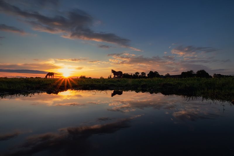 Вечерняя идиллия фото превью