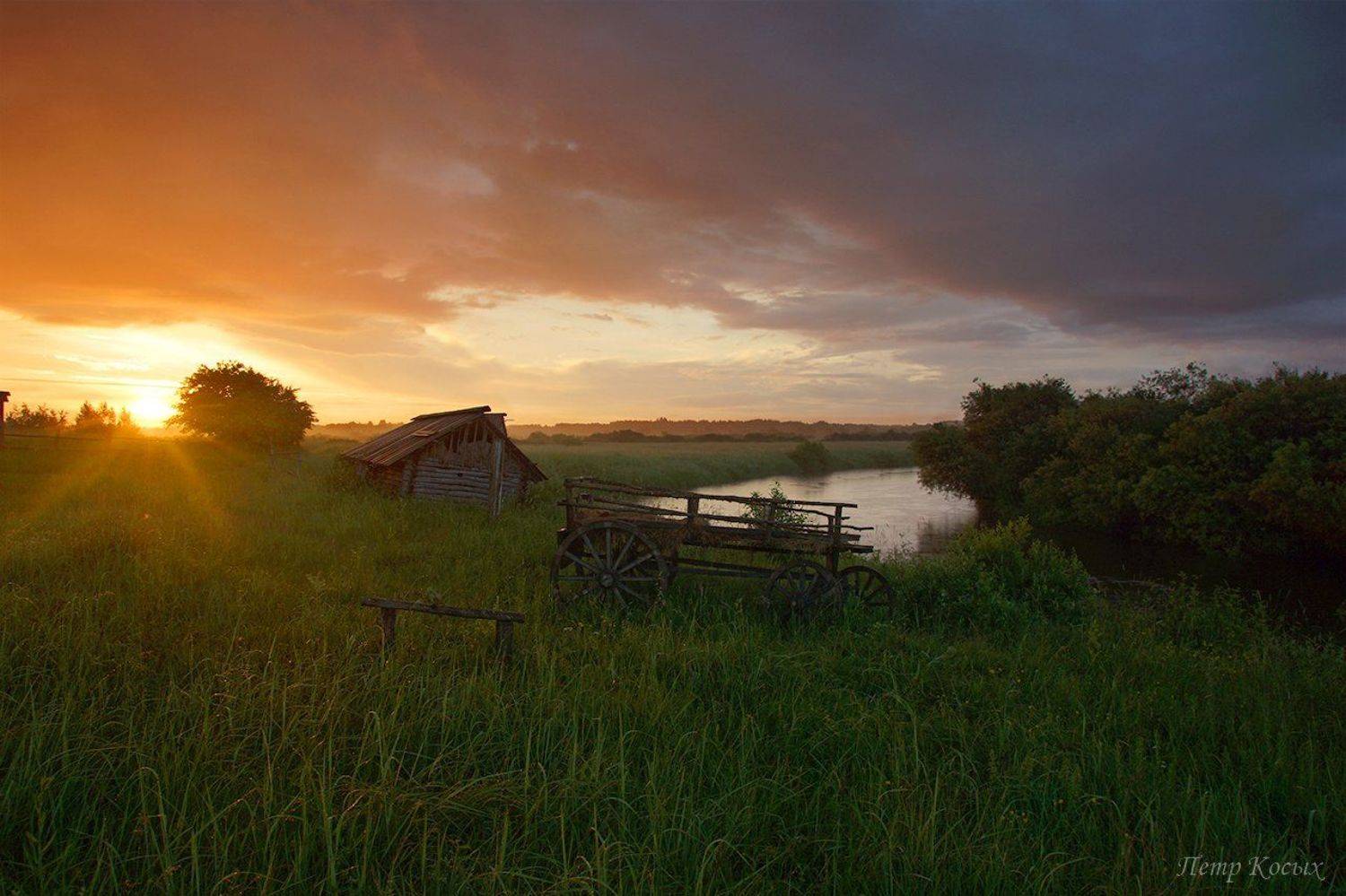 рассвет, Петр Косых