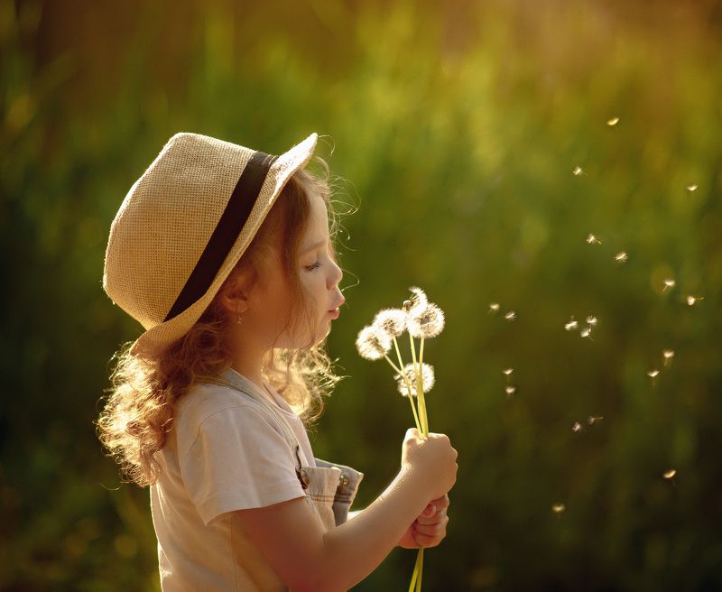 Одуванчики фото превью