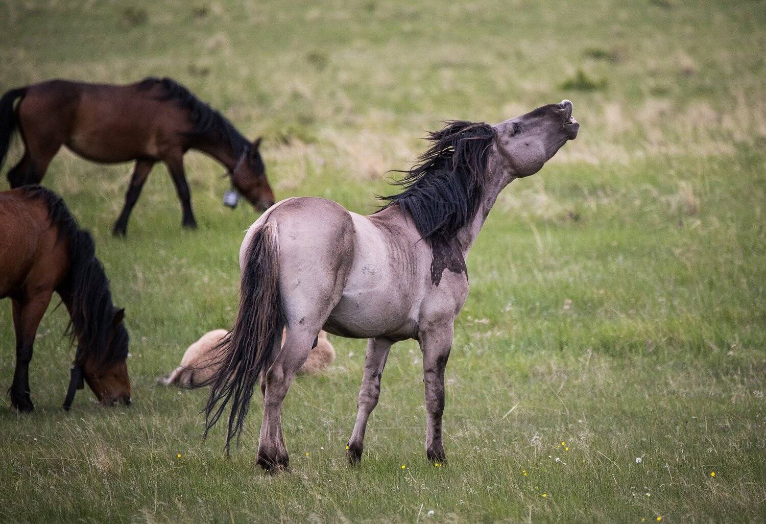 , Павел Сагайдак