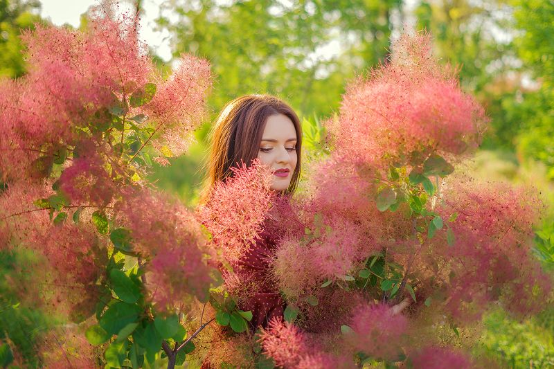 Весна фото превью