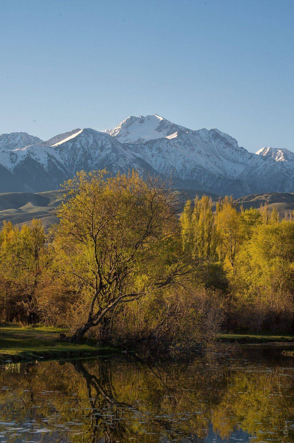 , Блинов Василий
