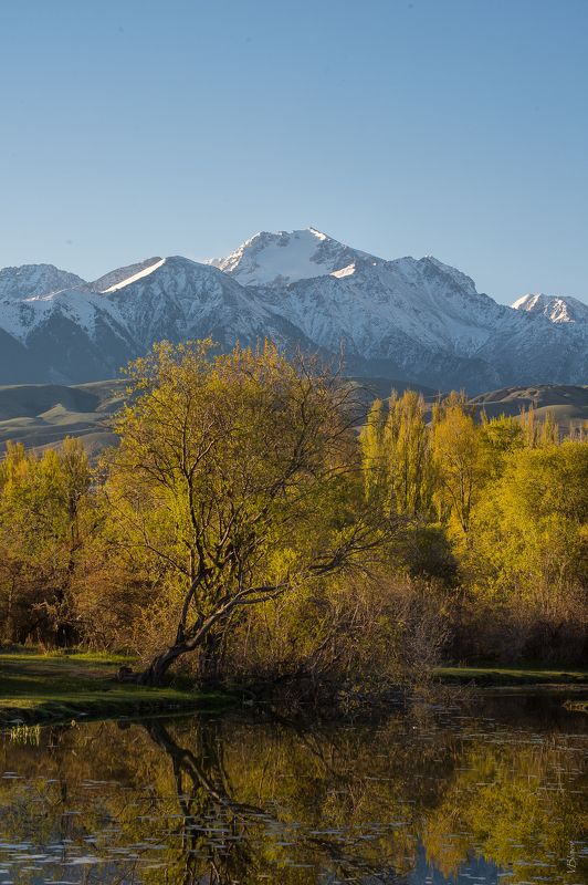 *** фото превью