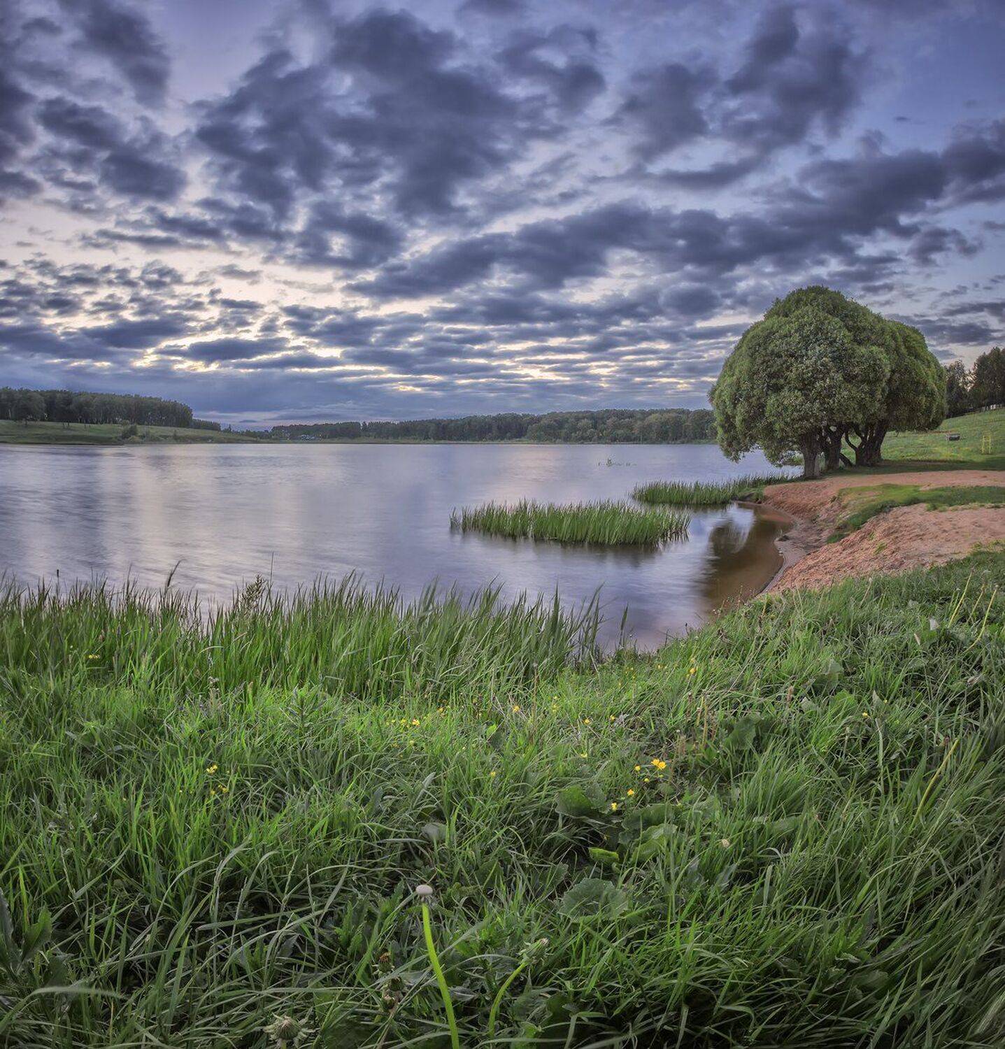 , Николай Андреев