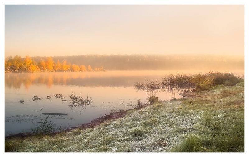Рассветный блюз фото превью