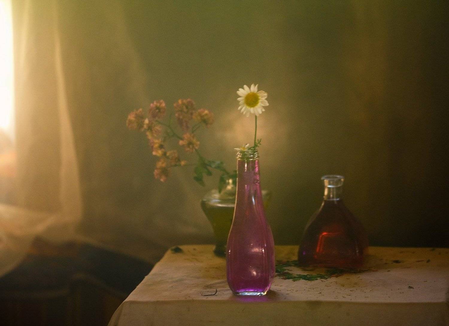 still life,rural,flowers,, mustafa yagci