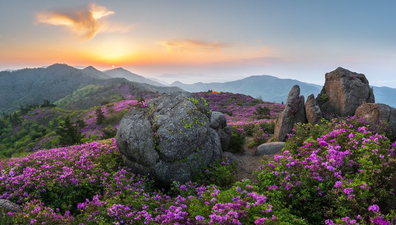 The spring of Choamsan фото превью