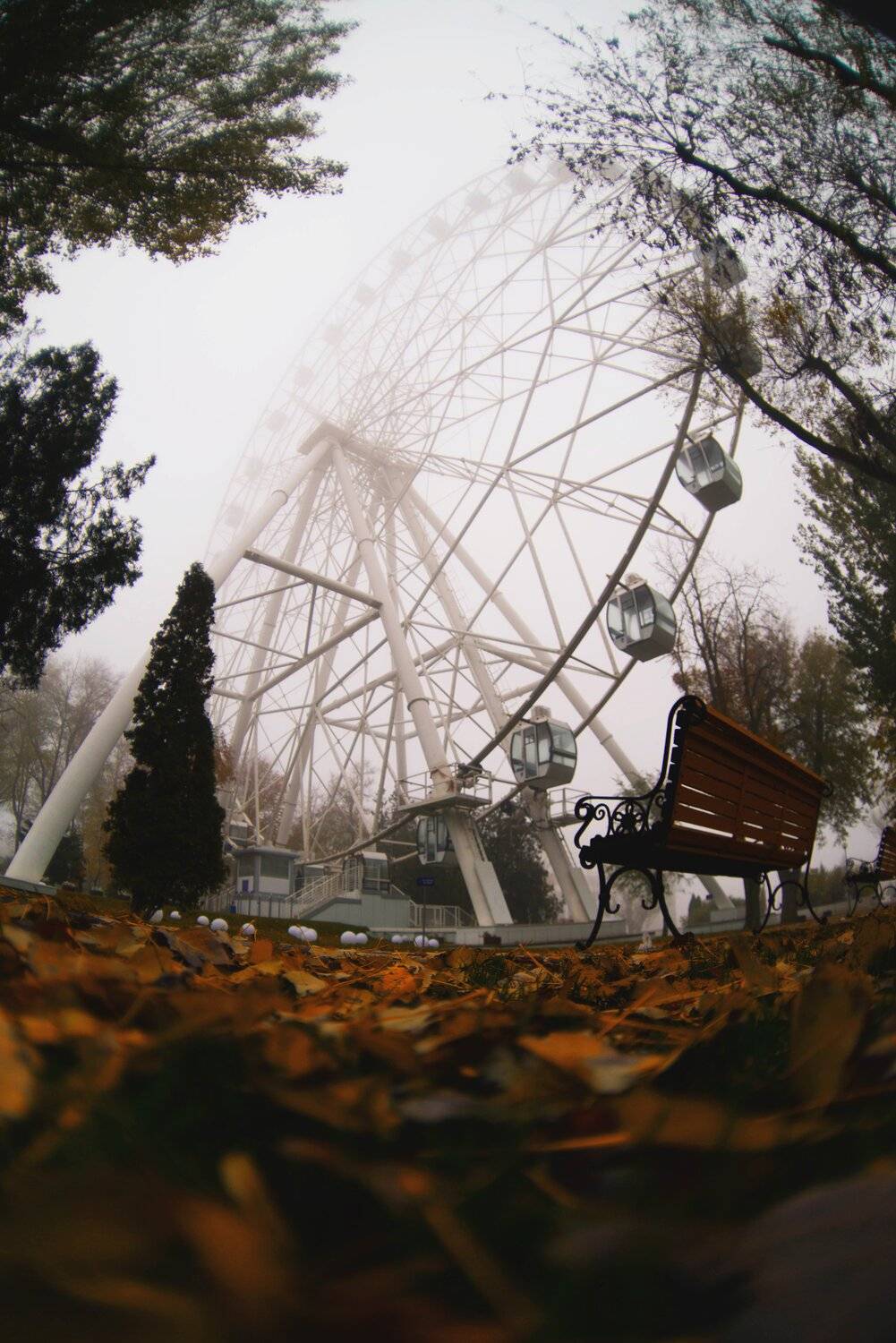 колесо обозрения ростов россия осень парк туман rostov fog autumn russia park, Егор Бугримов