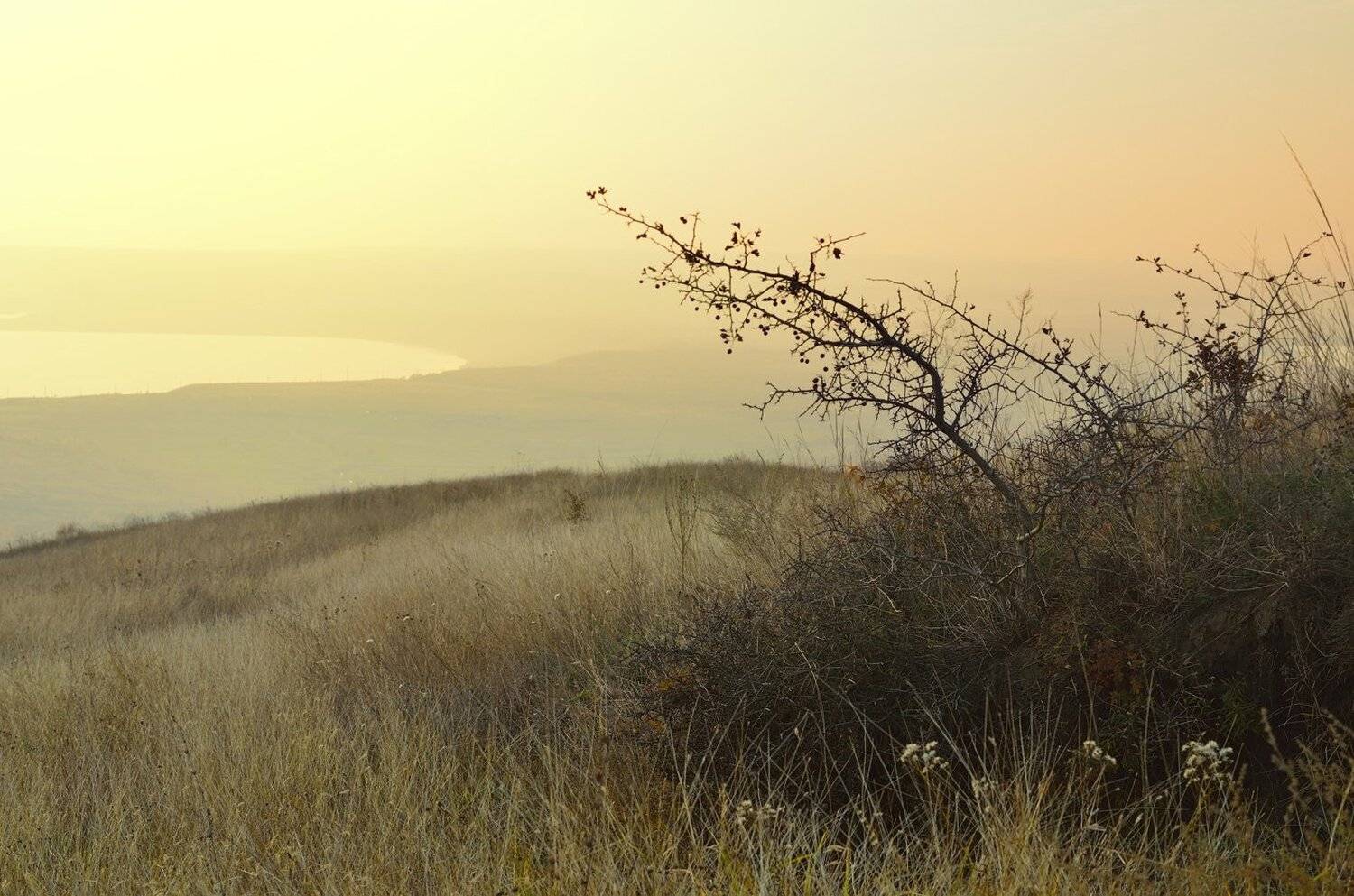 осень закат степь дымка озеро, Александр Жарников