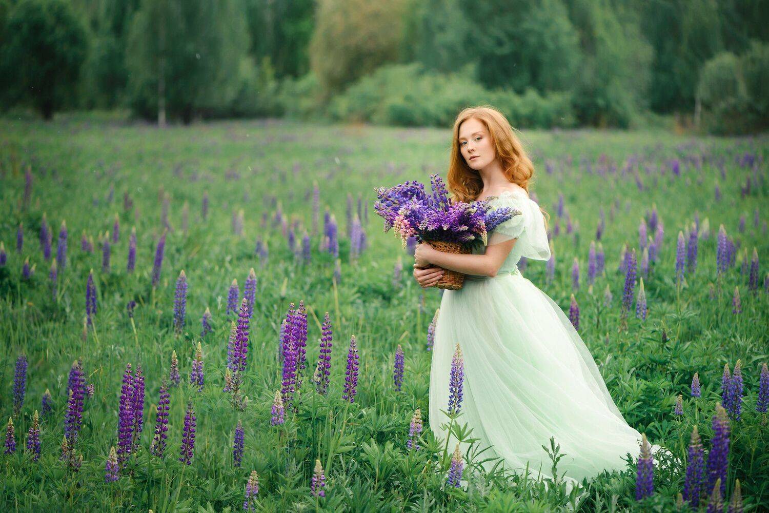 , Анастасия Добровольская