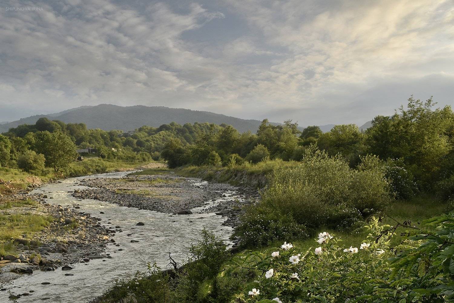 , Шипунова Ирина