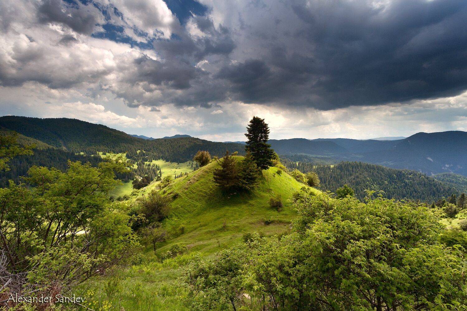 , Александър Сандев