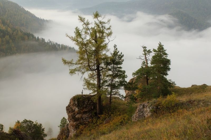 Просыпается природа. фото превью