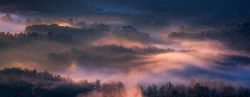 Вуаль фото превью