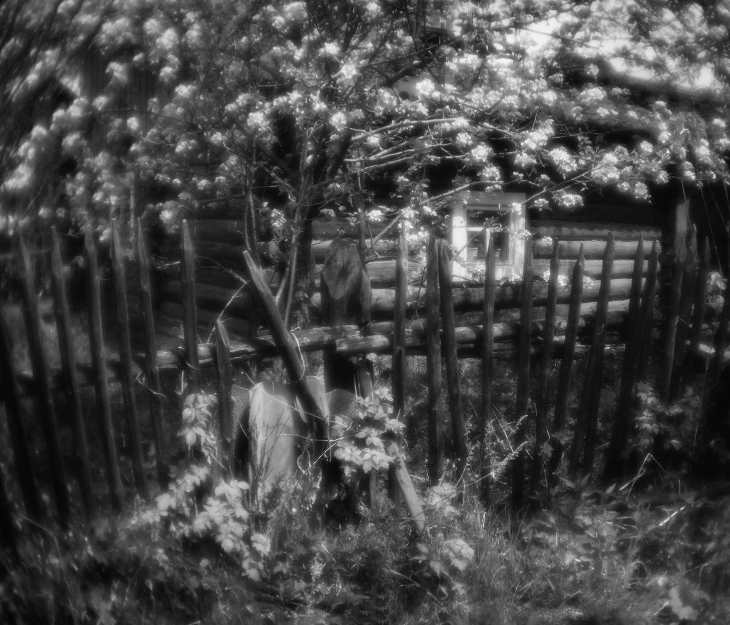 монокль, пикториализм, чб, Олег Астахов