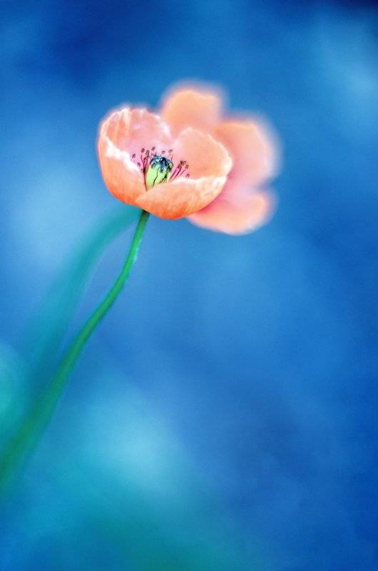 , Татьяна Аверина