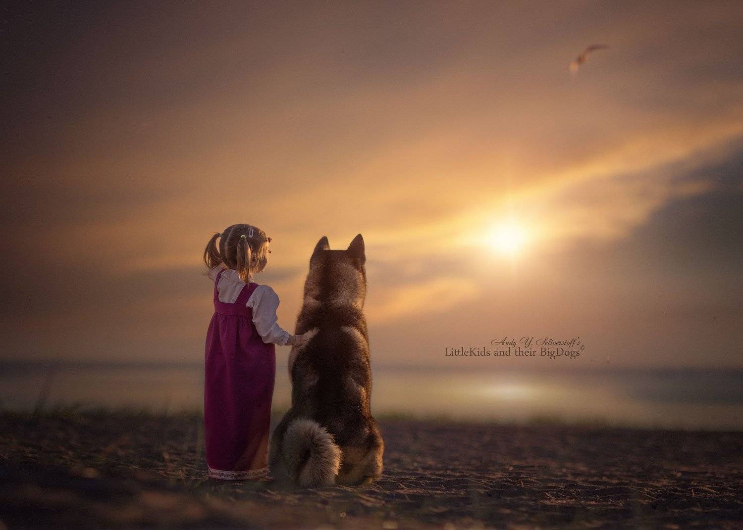 , Андрей Селиверстов