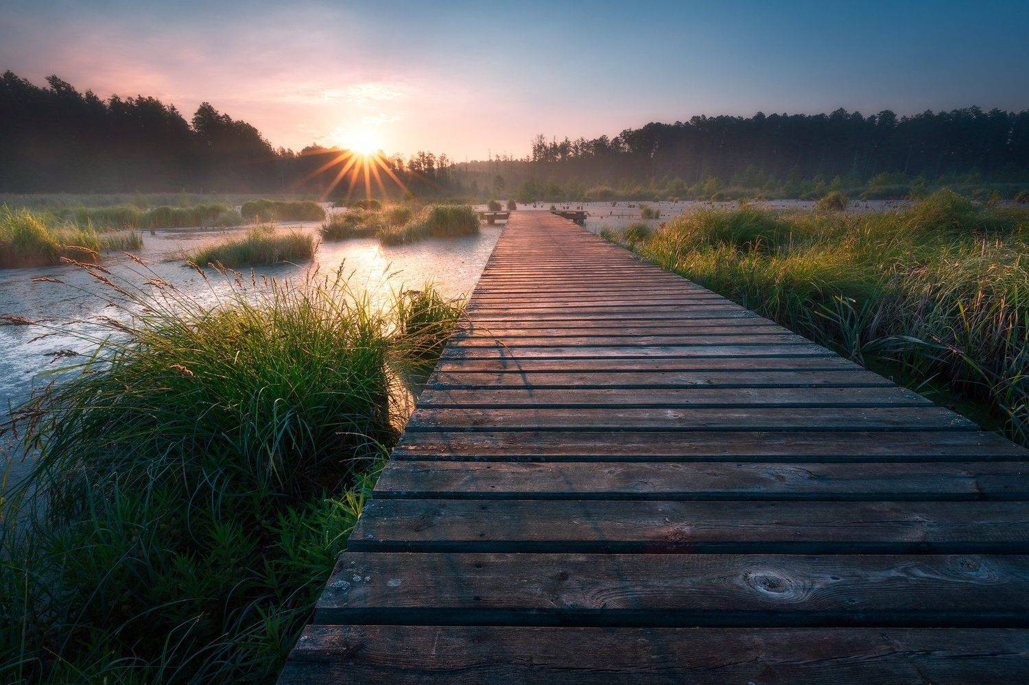 poland podlasie sky clouds woods sunrise trees outdoor spring jetty mist fog, Maciej Warchoł