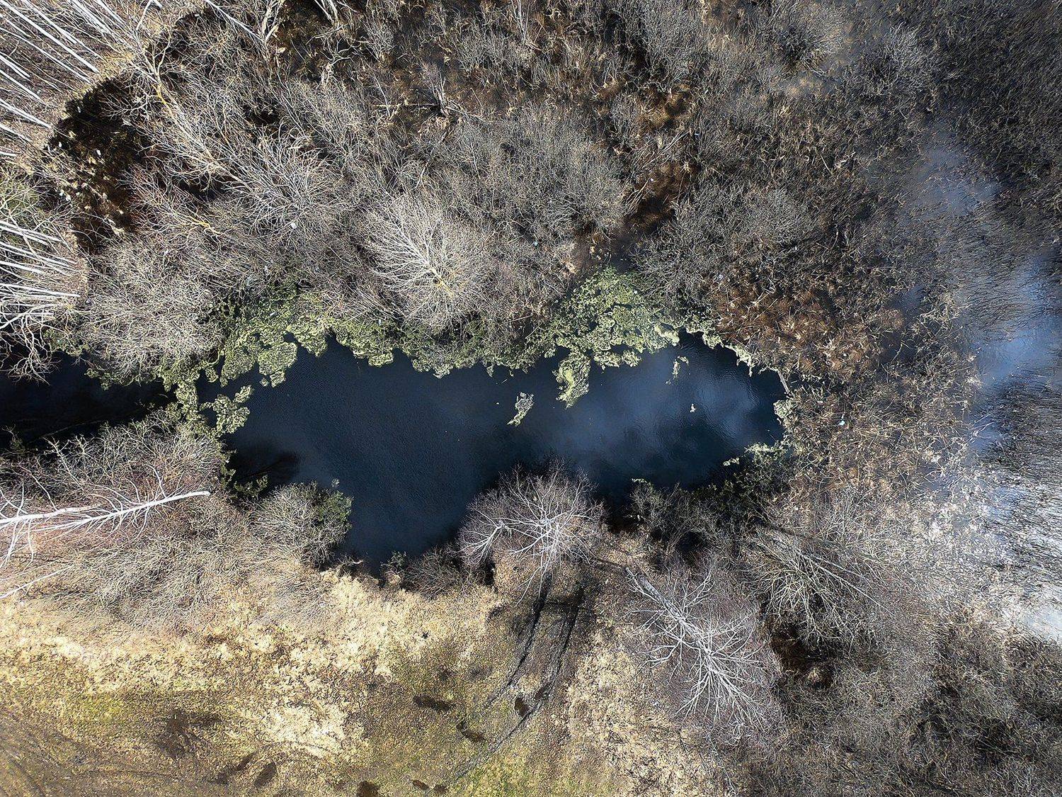 , Эдуард VTORNIK  Николаев