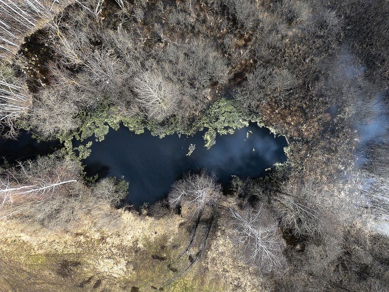 Озеро фото превью