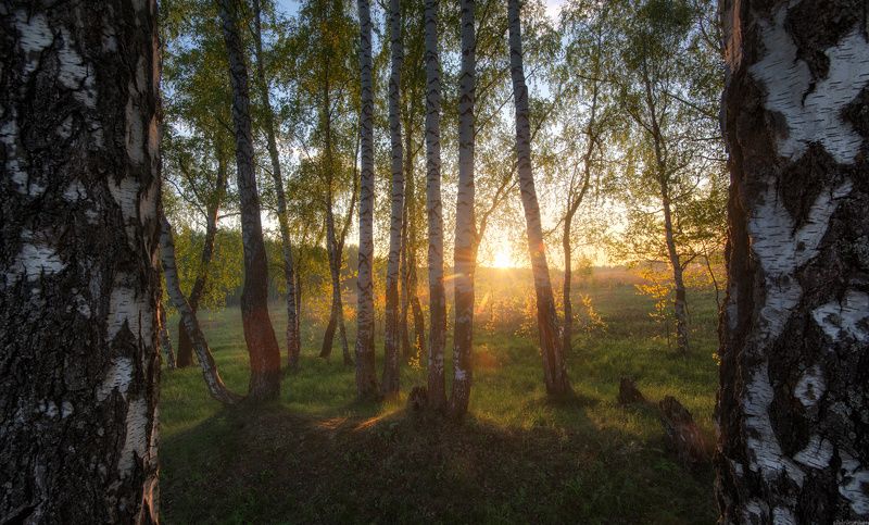 #пейзаж #весна #подмосковье #чехов #красиво #природа #восход #утро  / Утро в подмосковье / фото превью