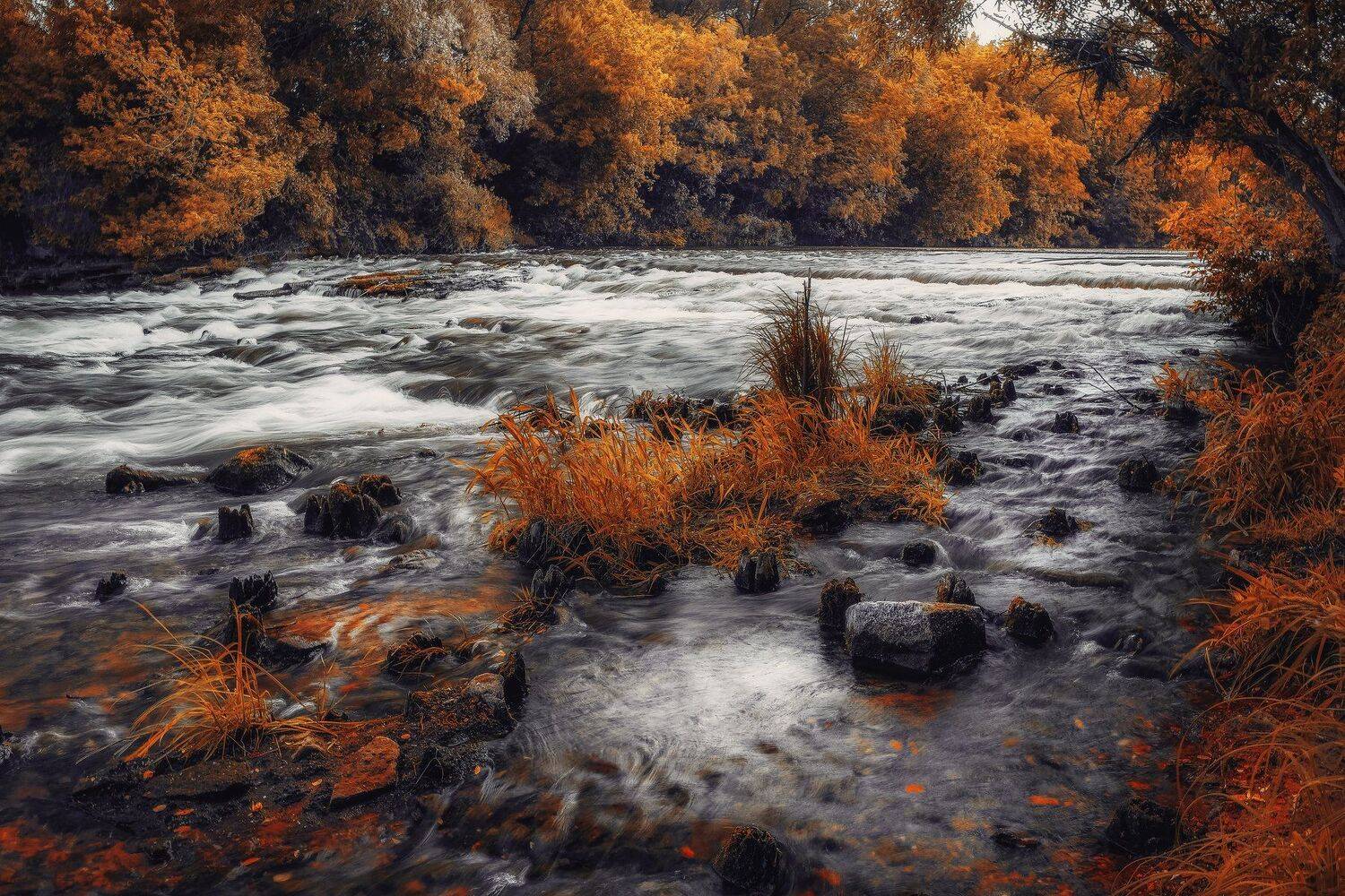фото, природа, пейзаж, река, осень, Екатерина