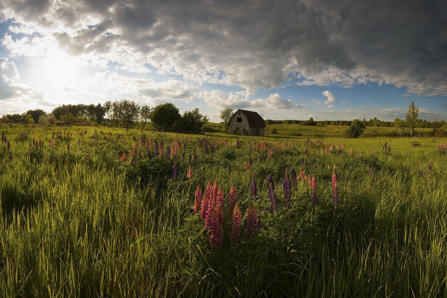 , Виталий Стрельцов