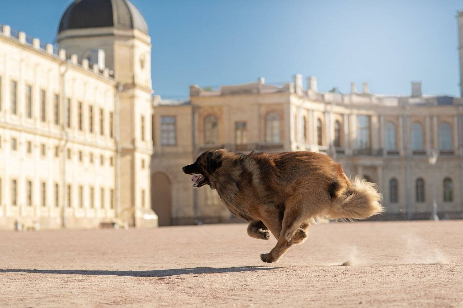 , Светлана Писарева