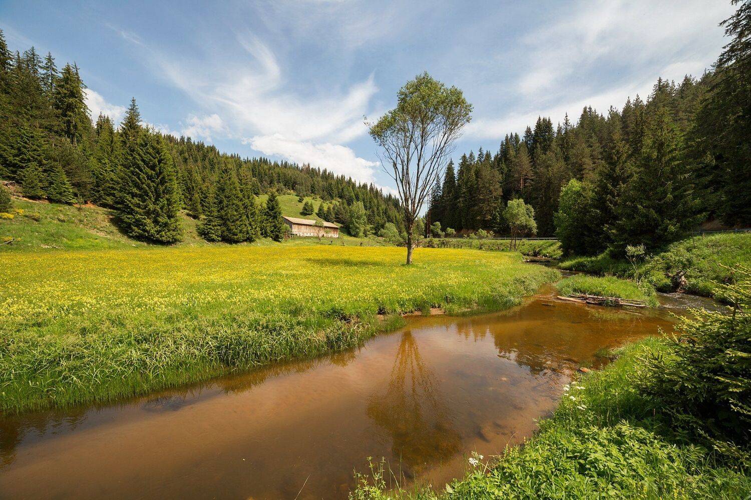 , Александър Сандев