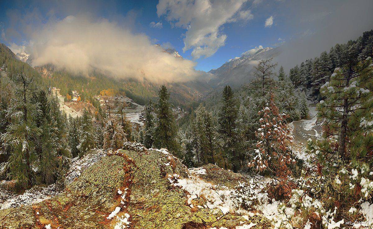 swiss, Матвеев Николай