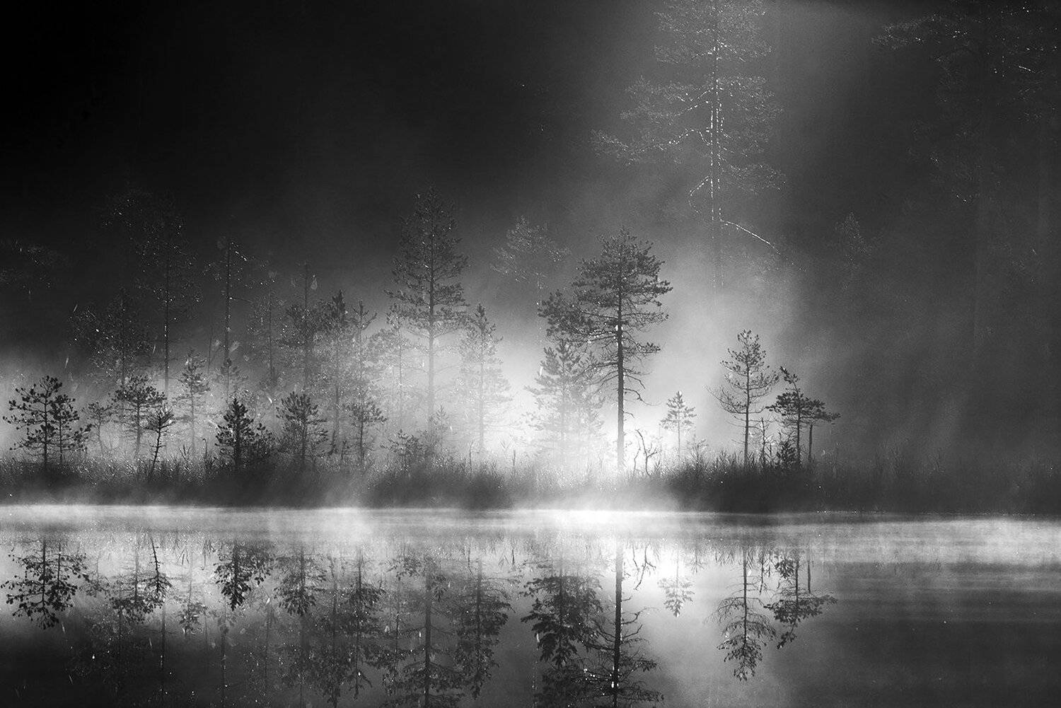 карелия, Виктор