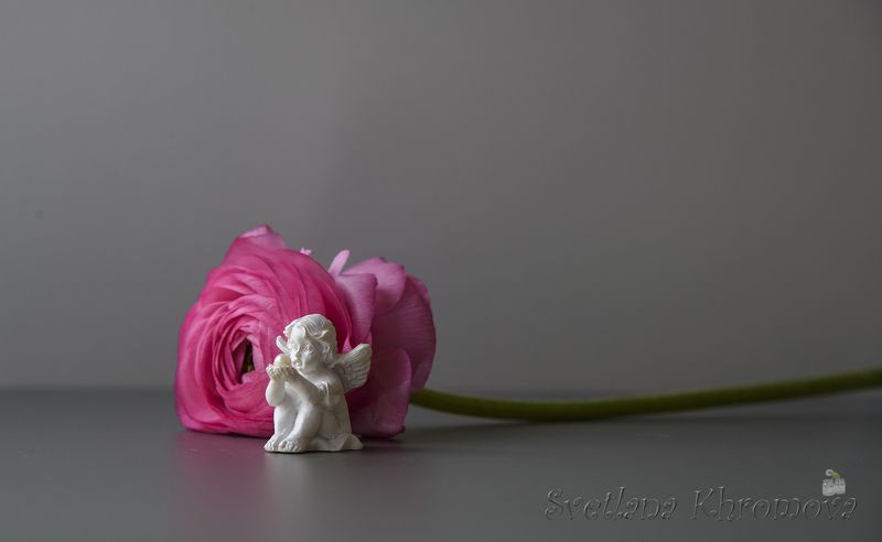 лютик, ангел Лютик фото превью