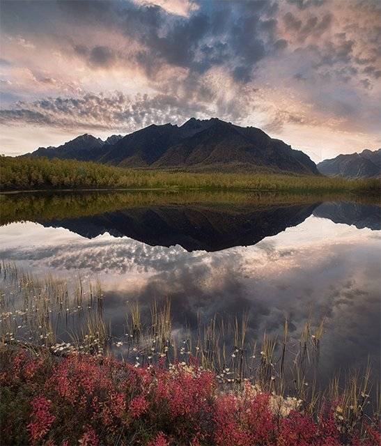 , Андрей Ершов