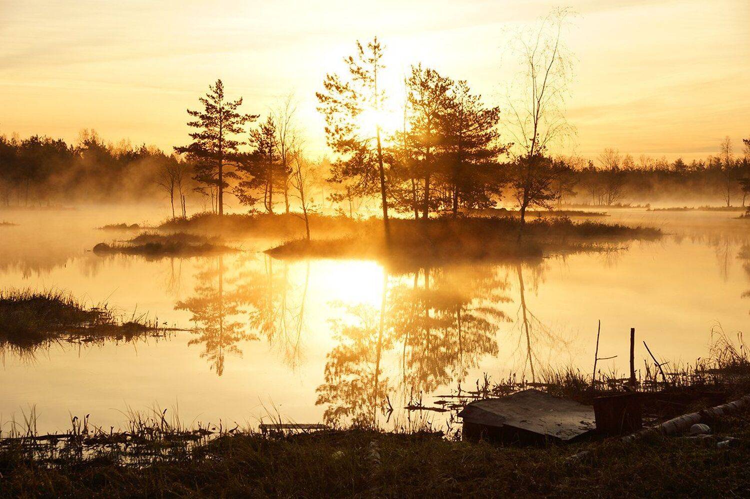 , Петр Косых