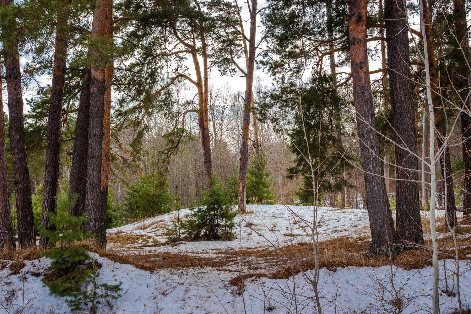 , Руслан Востриков