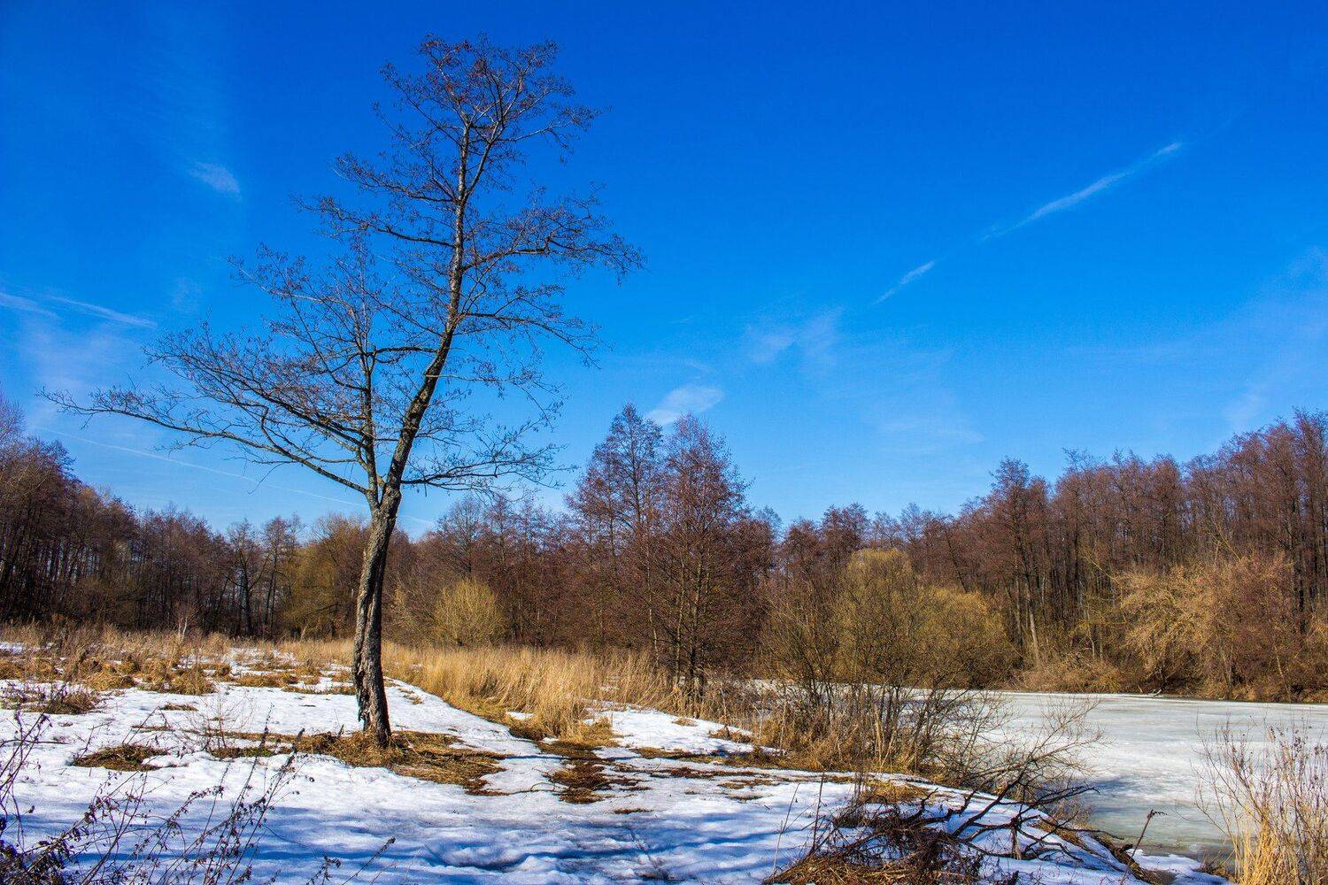 , Руслан Востриков