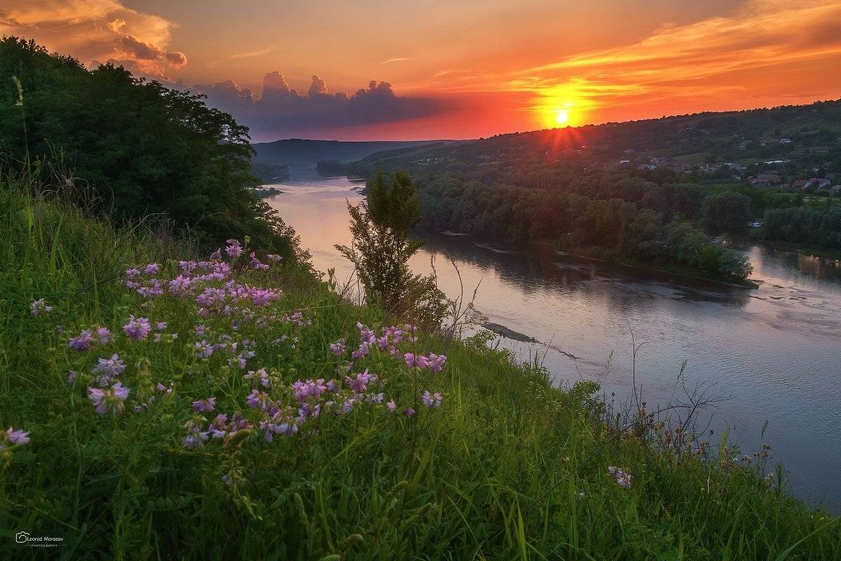 snow., mountain, .glacier.evergreen, .snowfall., ridge, .snowy., slope, .mountain., peak., mountain., range., snowcapped., mt, foraker., Леонид Морозов