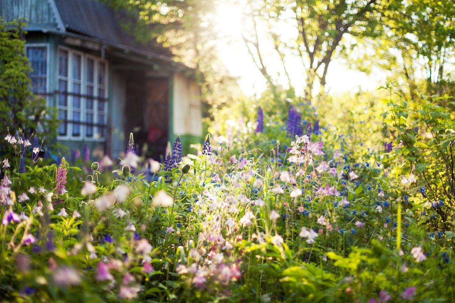 , Дара Пилюгина