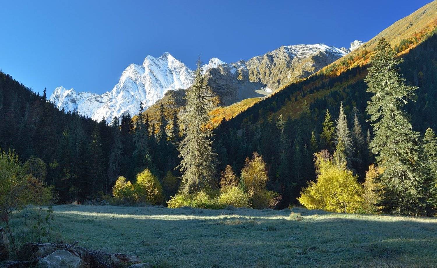 горы осень домбай утро, Александр Жарников