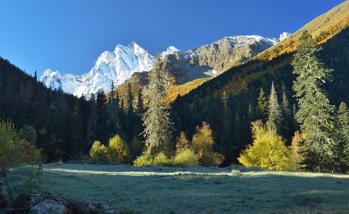 Осеннее утро