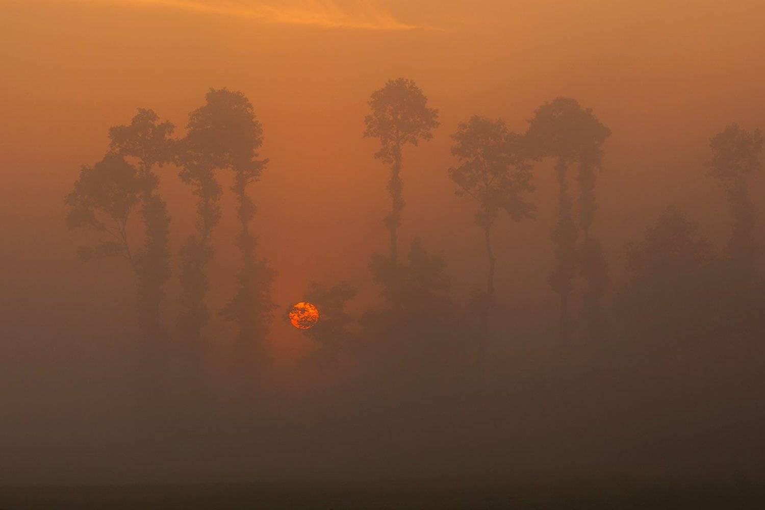 , Pawel Plucinski