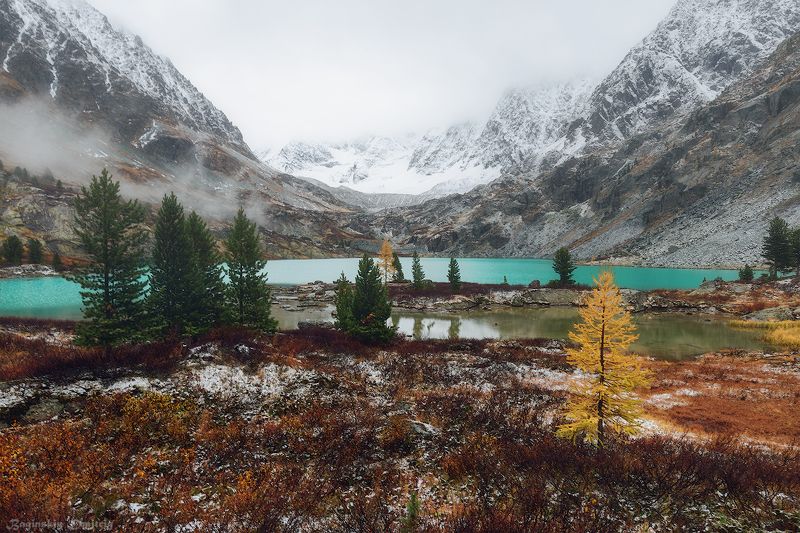куйгук, алтай, осень, озеро, горы Озеро Куйгук фото превью