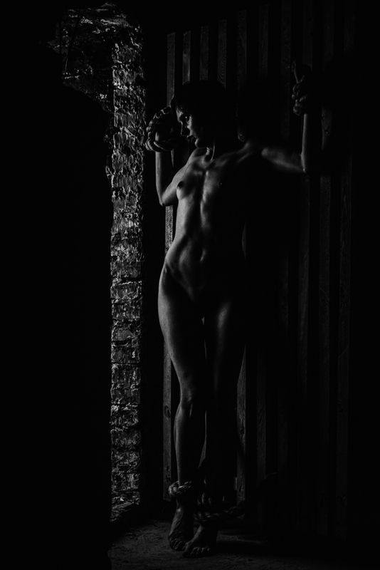 nude, ню, girl, девушка, woman, bw, akt, арт, модель, model, in ropes - в канатах фото превью