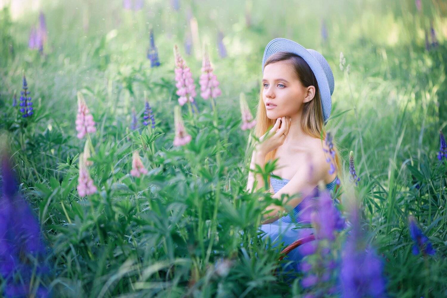 , Анастасия Добровольская