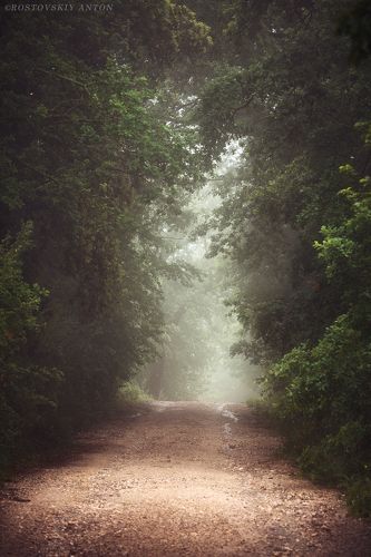 Туманно утро