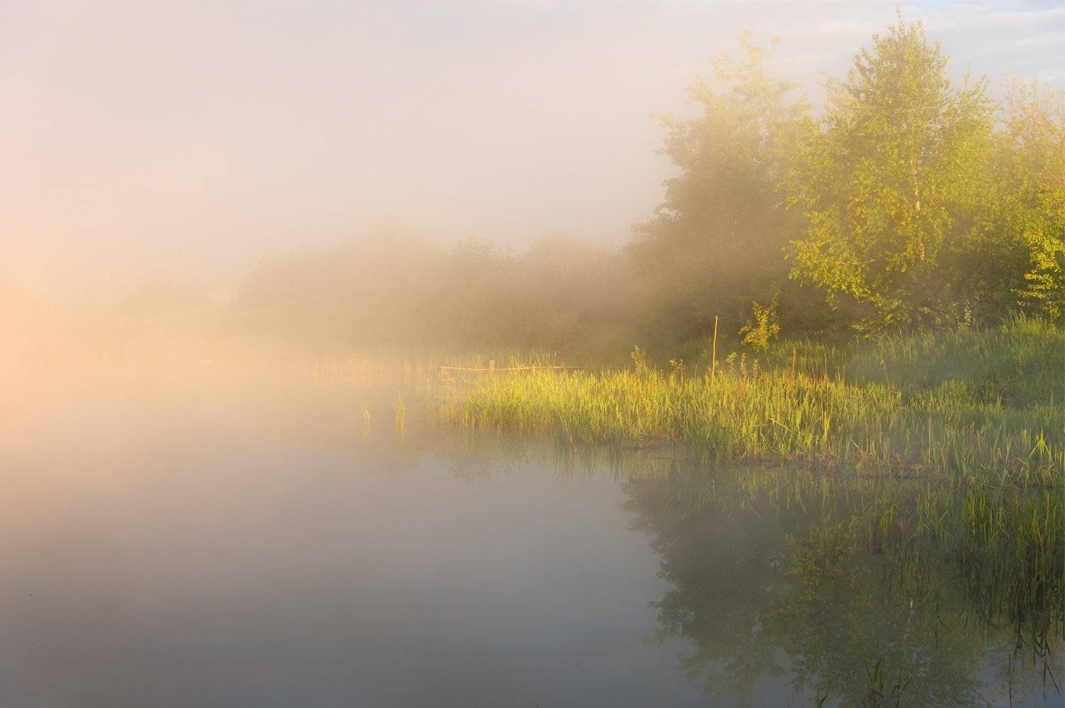 , Дмитрий Асеев