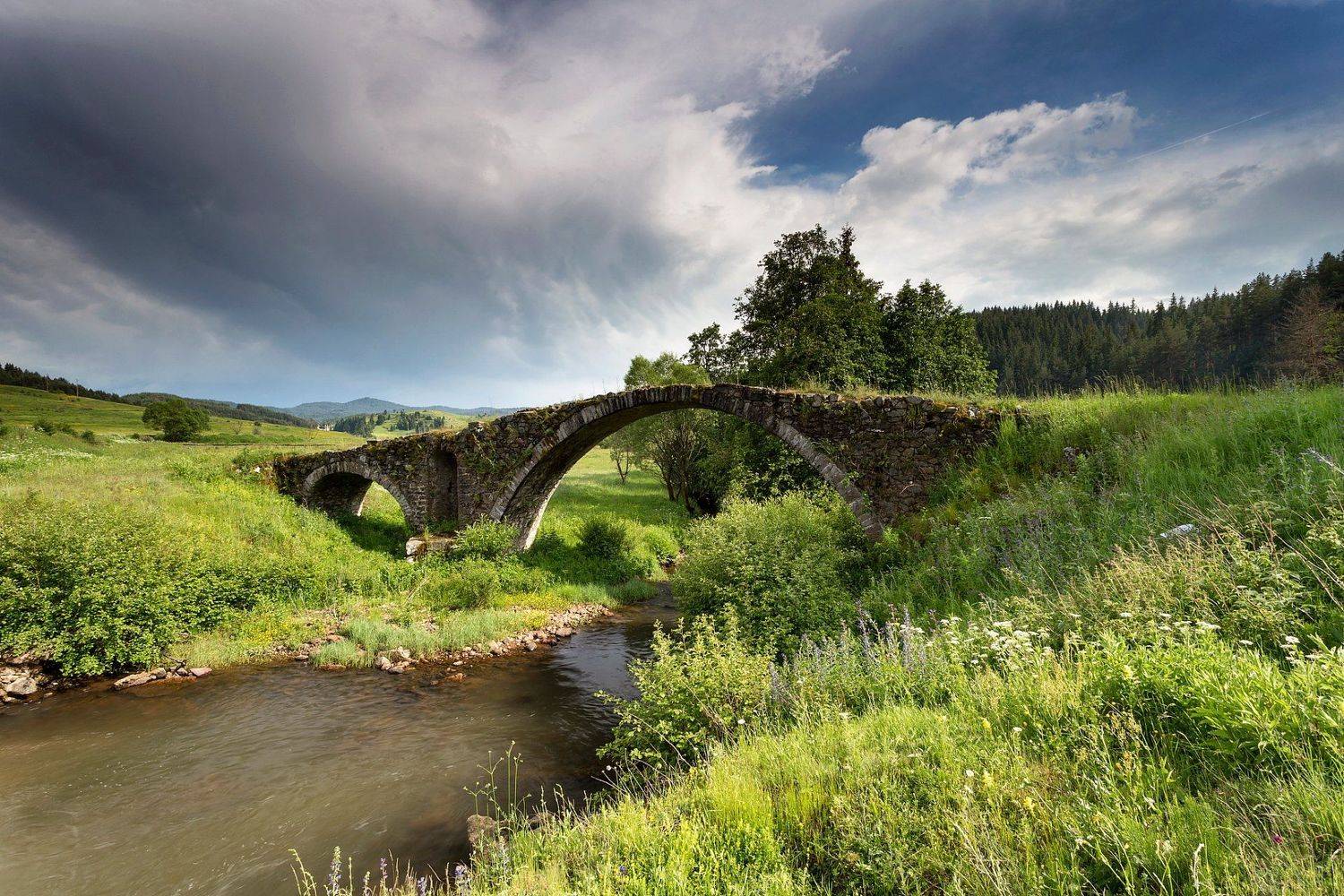 , Александър Сандев