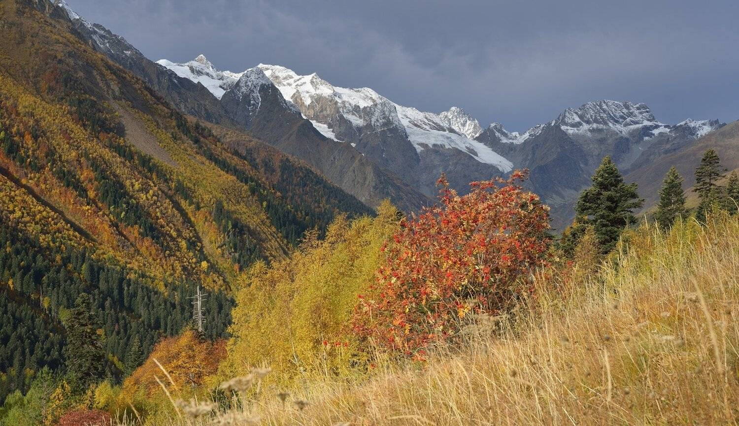 горы осень домбай, Александр Жарников